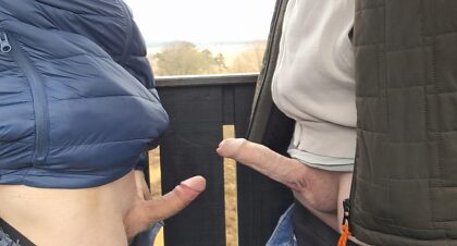D'un point de vue au-dessus des arbres