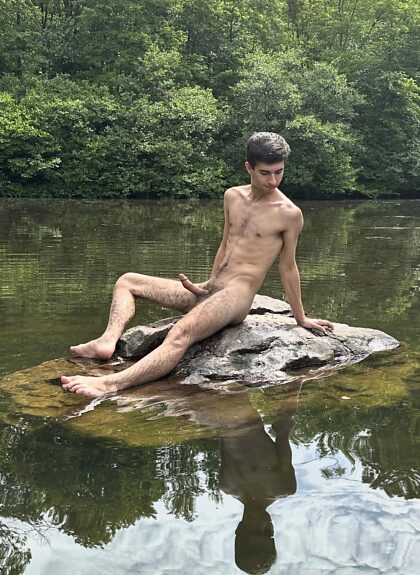 Loutre photographiée en train de prendre un bain de soleil sur un rocher