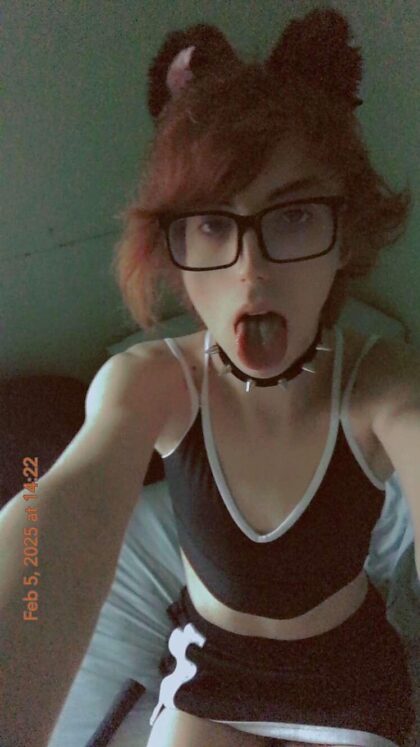 [USA]#WI - trasformami nel tuo huccow goth personalizzabile, mungetemi e fate di me la vostra stupida razza da riproduzione;)