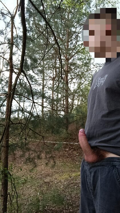 Montrer ma bite pendant un voyage