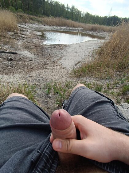 Montrer ma bite pendant un voyage