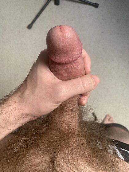 Après tout l'amour que j'ai reçu pour mes photos de perte de poids, j'ai l'impression que je vous dois un meilleur aperçu du buisson