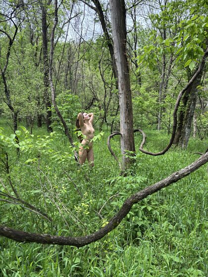 Ces bois sont parfaits en ce moment : des plantes chartreuses et beaucoup de nourriture à cueillir.