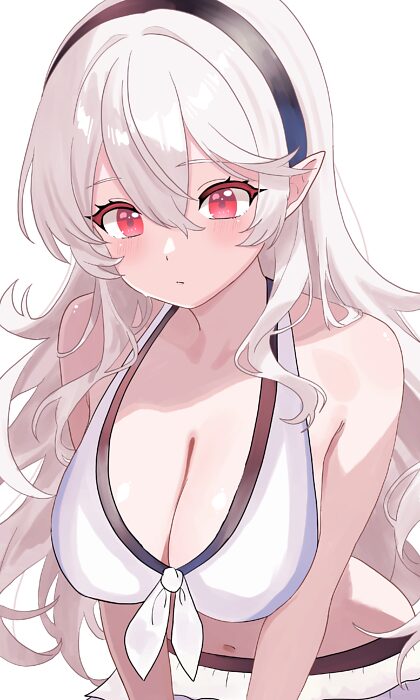 Corrin 的漂亮大胸部
