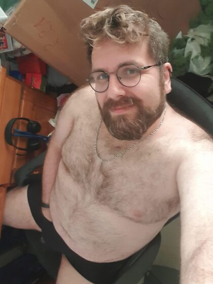 Urso francês