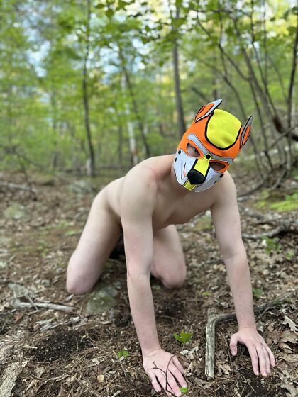 Ik heb deze pup meegenomen voor een wandeling en hem een bot als beloning gegeven
