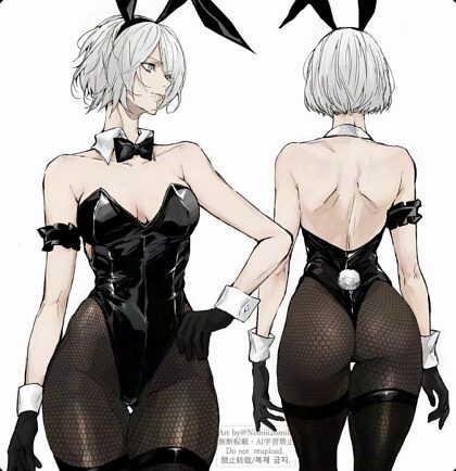 Lapin 2B par moi