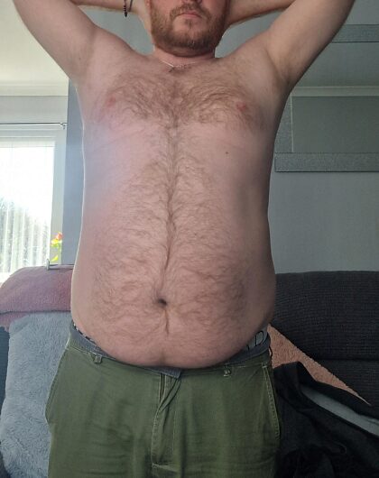 Qui veut un ours roux