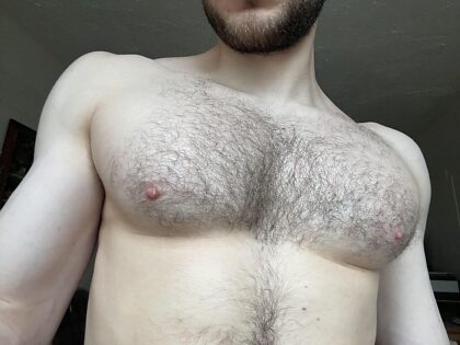 Es-tu impressionné par ma grosse poitrine velue, mon frère ?