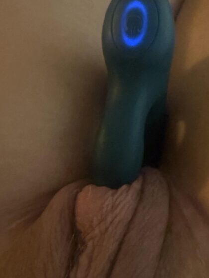 Bon mardi, les seins et la chatte de ma femme pour votre plaisir