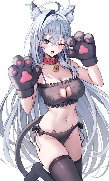 Shiroko essayant d'être une catgirl