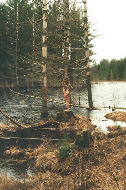 juste un des arbres, filmé par Prosser Photography