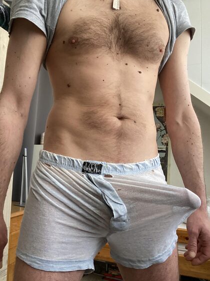 Vieux boxers