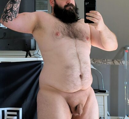 Papai urso grande e suado