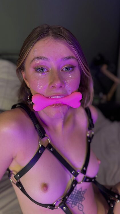 Le visage d'un petit jouet obéissant