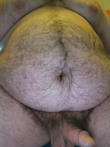 barriga de urso grande esperando para ser atendida