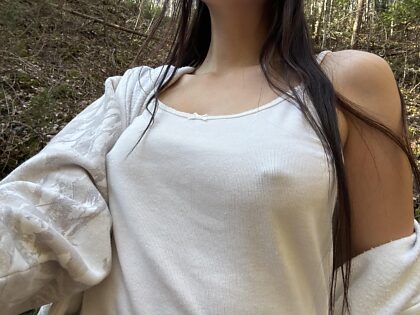 散歩に行きました
