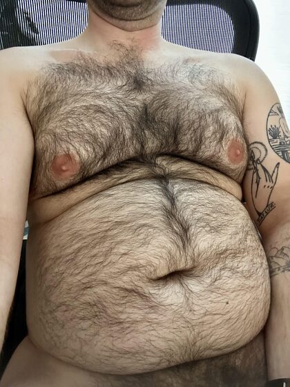 Pênis de urso ou barriga de urso?