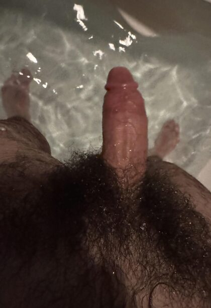 Une loutre dans son habitat naturel.