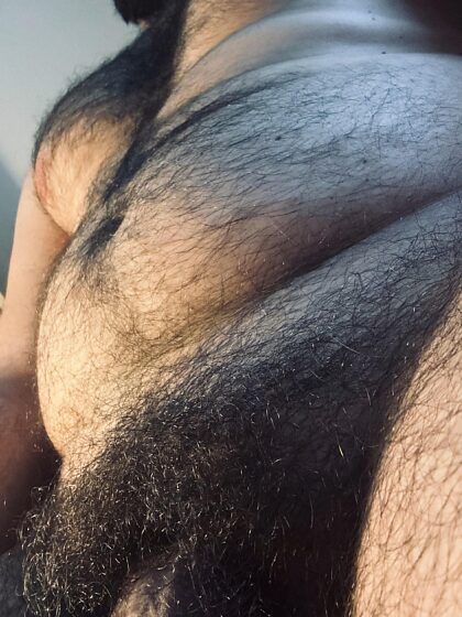 あなたは毛深い大きな男が好きなのでしょうか？