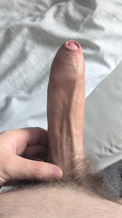 J'espère que les voisins m'ont vu avec ma bite dehors