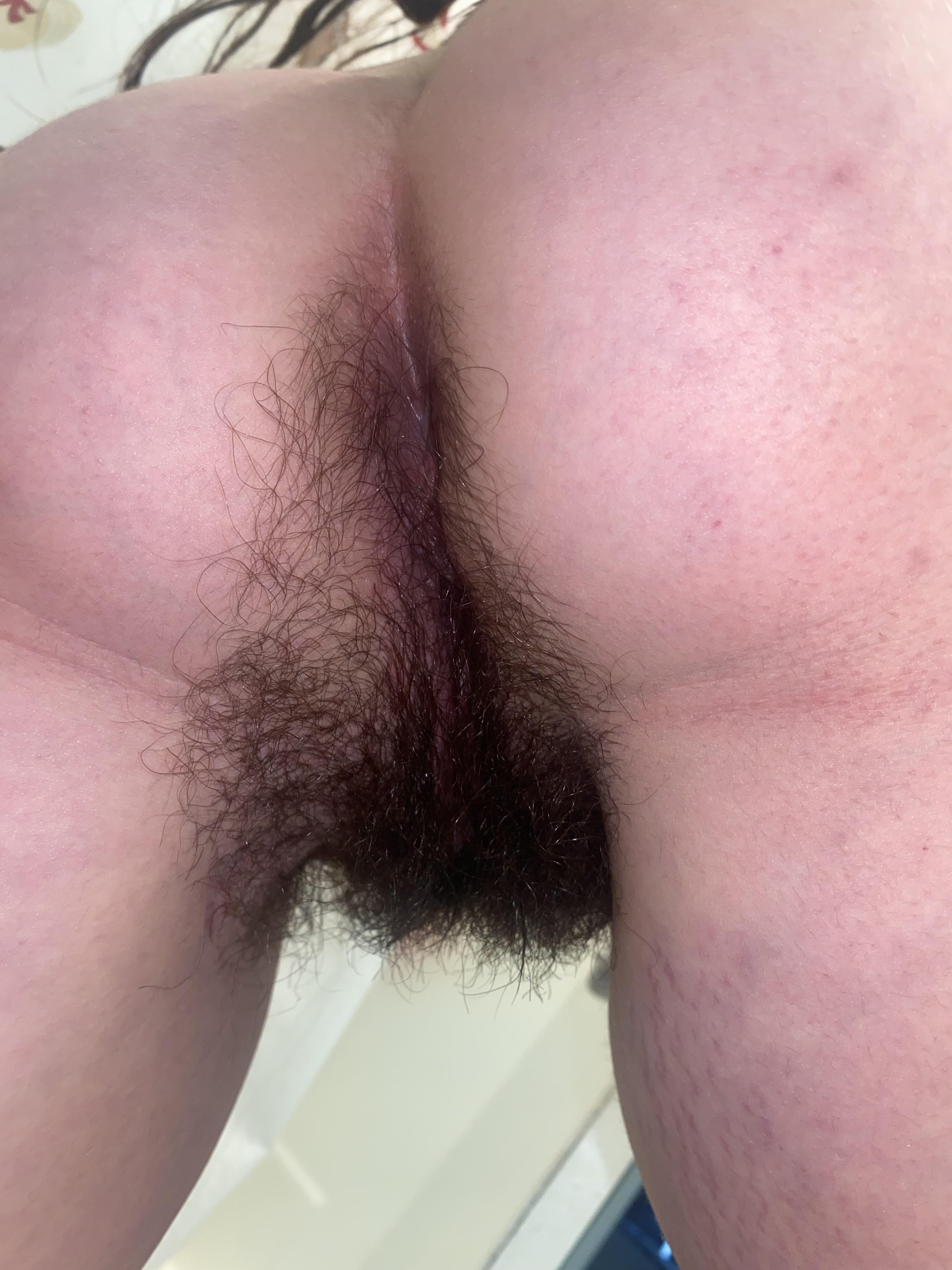 Hairy pussy from the back