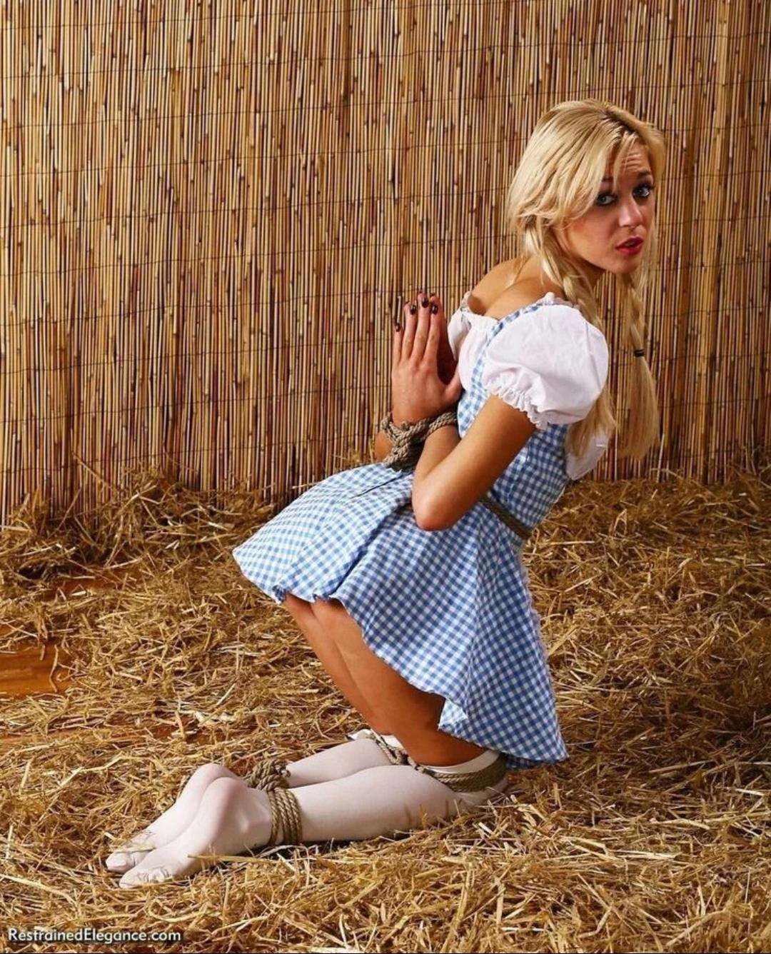 German girl bound in the barn image