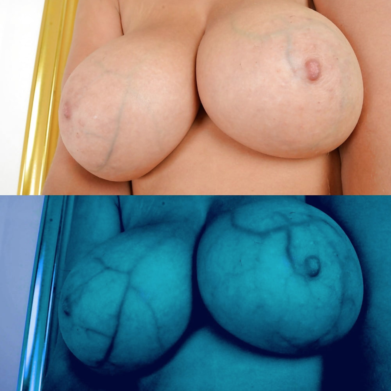 Wierd Tits Tumblr