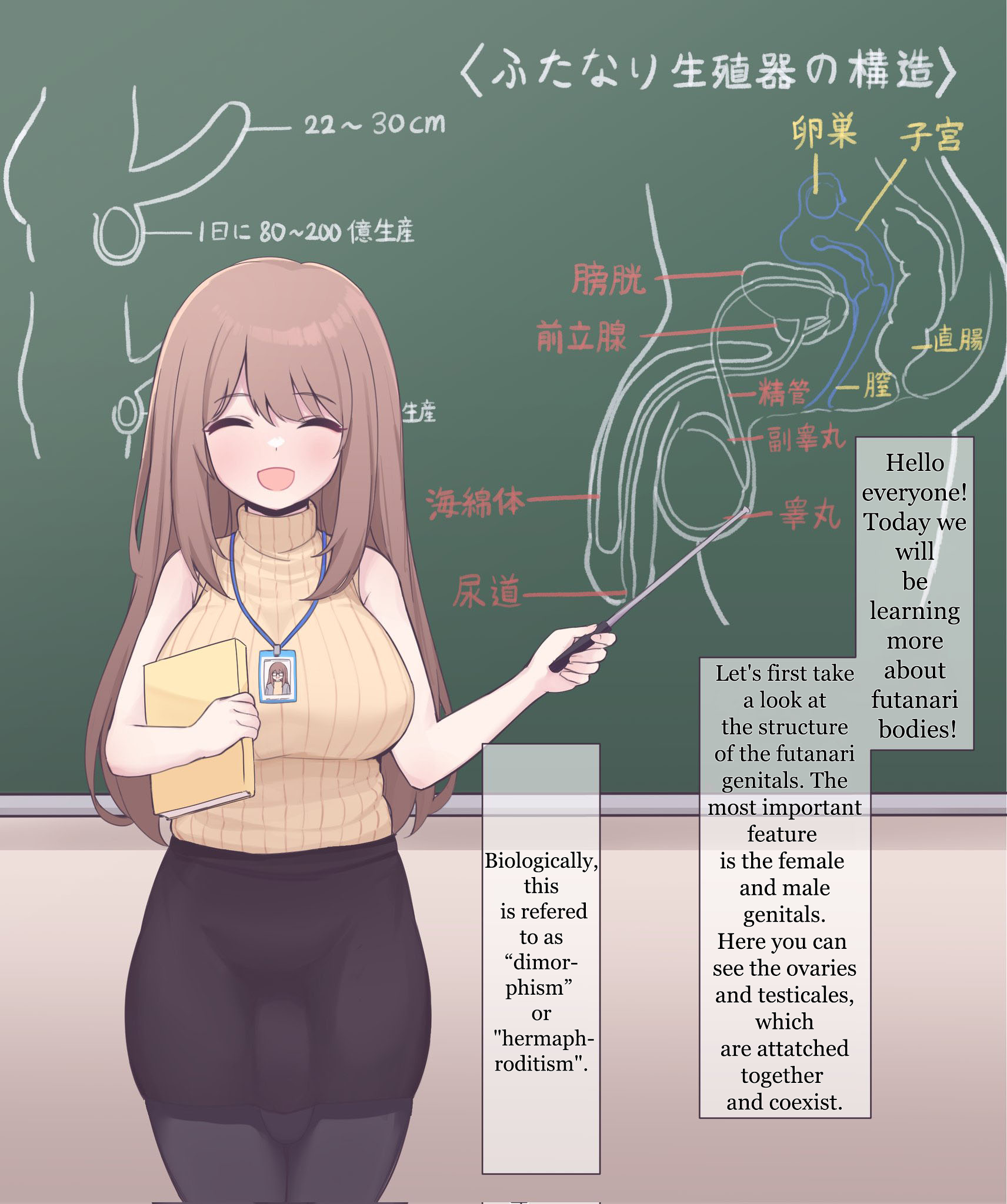 Futanari anatomy