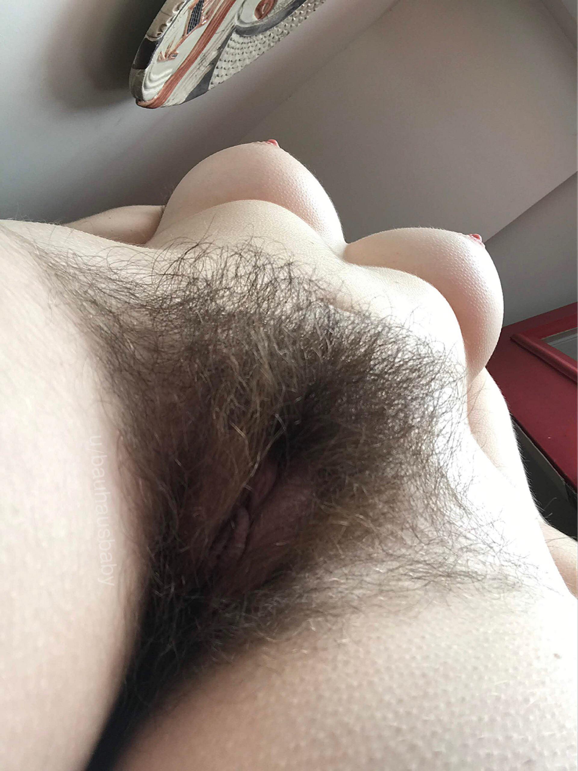 Hairy Pov Porn - POV standing over you with my hairy little pussy